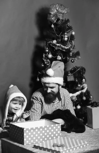 Животное на Рождество. Папа с бородой и дети держат собак — стоковое фото
