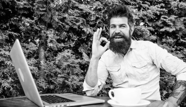 Remote job. Freelance professional occupation. Satisfied with result. Well done. Hipster busy with freelance. Wifi and laptop. Drink coffee and work faster. Bearded man successful freelance worker