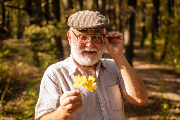 Explore world around. Pensioner hiking in forest on sunny autumn day. Botanist examine herbs. Old man collect leaves. Bearded grandfather in forest. Man enjoy autumn nature. Curiosity to botany