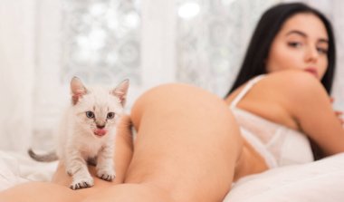 Kitty ile oyna. Kedi ve bayan. Oyuncu bir kadın ve yatak odasında nazik bir kedi. Çekici, güzel bir kız, sevimli bir kedi yavrusuyla rahatlar. Yatakta kedicilik oynuyorum. Seksi model, pürüzsüz cilt, çıplak vücut, sevimli kedi yavrusu.