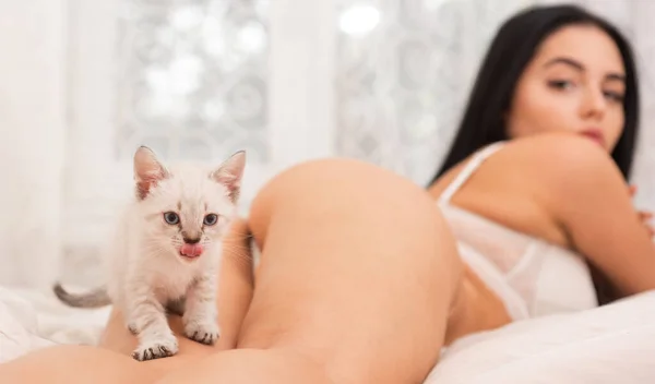 Play with kitty. Cat and lady. Playful woman and tender cat in bedroom. Gorgeous attractive girl relax with cute kitten. Playing cat in bed. Sexy model smooth skin naked body play adorable kitten