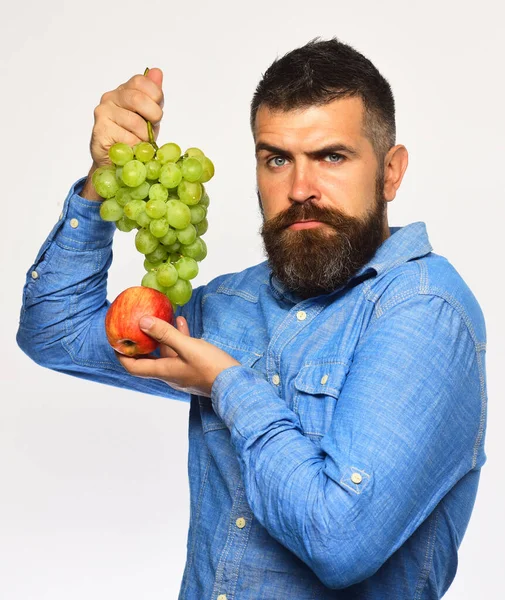 Bauer zeigt seine Ernte. Winzer mit ernstem Gesicht — Stockfoto