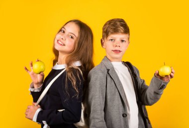 Başarılı bir gelecek. Uluslararası öğrenci değişimi. Okul bilgisi. Sıradan bir okul programı. İleri düzey okul eğitimi. Öğrenci derse hazır. Gençler için dersler. Yetenek geliştirme