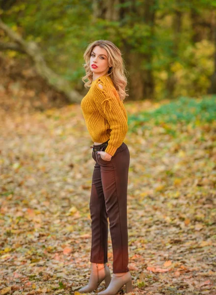 Trendy clothes. Woman wear warm sweater nature background defocused. Gorgeous lady feeling cozy in woolen sweater. Walk in fall park. Fancy girl wear knitted sweater. Style is all about balance