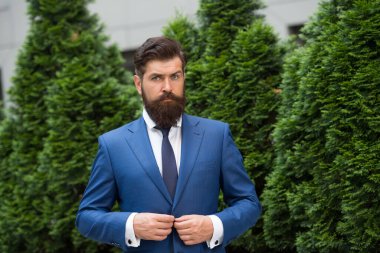 Şehir caddesinde duran kendine güvenen bir adam. Selvi ağacının yanında olgun sakallı bir adam. Açık havada başarılı bir iş adamı. Kendine güvenen bir iş adamı. Yakışıklı, olgun girişimci.