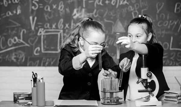 Tehetséges gyerekek iskolája. A lányok iskolai egyenruhája izgatottan bizonyítja a hipotézisüket. Tornatermi hallgatók, akik mélyrehatóan tanulmányozzák a természettudományokat. Iskolai nyomozás. Iskolai kísérlet — Stock Fotó