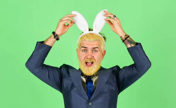 Veel plezier. Baard man konijnenoren op het hoofd. Grappige baas. Pasen activiteiten voor kantoor. Zakenman dragen konijnenkostuum accessoire. Bunny Easter symbool. Voorjaarsvakantie feest. Begrippen begroetingen — Stockfoto