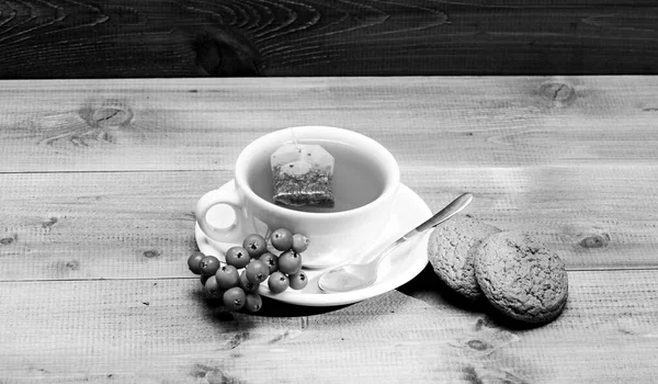 Κεραμικό φλιτζάνι ζεστό φρέσκο τσάι ρόφημα. Θεραπείες υγείας. Πιείτε αρωματικό ρόφημα βατόμουρο. Ένα φλιτζάνι τσάι σε μπλε φόντο από κοντά. Γκουρμέ γεύση. Καφέ μενού. Τσάι από μούρα — Φωτογραφία Αρχείου