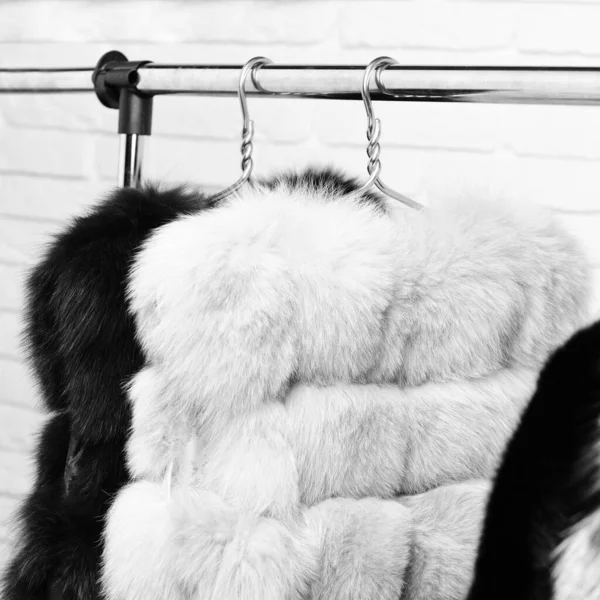 Μοντέρνα γούνα σε κρεμάστρες — Φωτογραφία Αρχείου