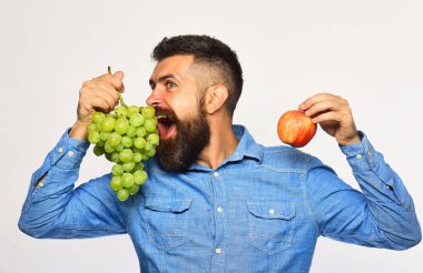 Çiftçi hasat gösteriyor. Şarap yapımı ve sonbahar meyveleri konsepti