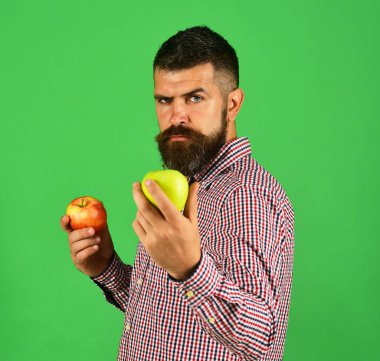 Katı yüzlü çiftçi taze meyve tutar. Adam hasat yapıyor.