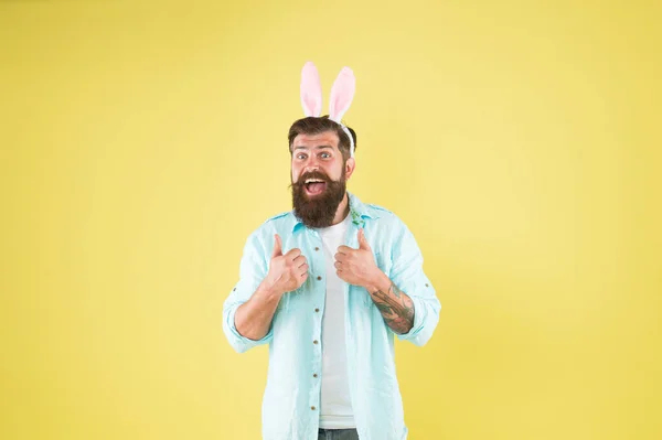 Sincere recommendation. Man long rabbit ears. Bearded man Easter rabbit costume. Easter bunny or hare. Hipster dressed for Easter party. Easter bunny symbol of fertility and spring. Having fun