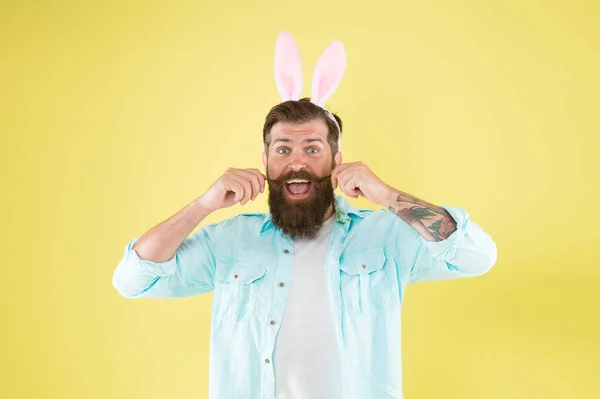 Barber salon. Lucky guy. Man long rabbit ears. Bearded man Easter rabbit costume. Easter bunny or hare. Hipster dressed for Easter party. Easter bunny symbol of fertility and spring. Having fun