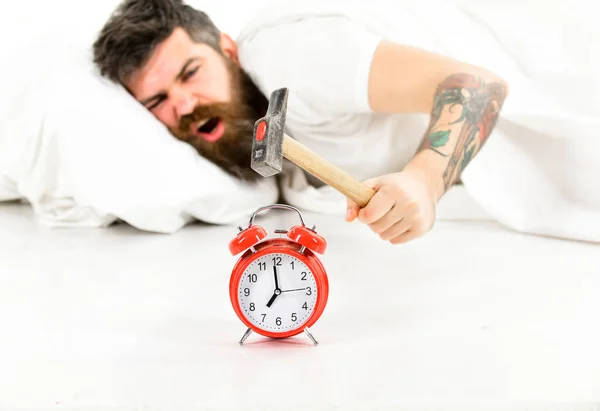 Man suffers in morning, destroys alarm clock, white background. — Stock Photo, Image