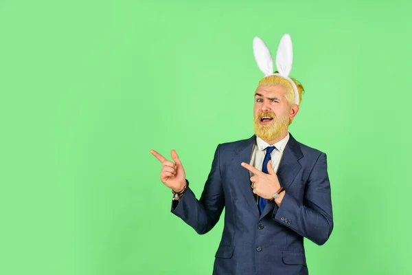 Preparación para el santo domingo. Feliz gerente señalando con el dedo algo. Hombre barbudo con orejas de conejo apuntando fondo verde. Señalando el gesto. Señalando y promoviendo. Pedir ahora, copiar espacio — Foto de Stock