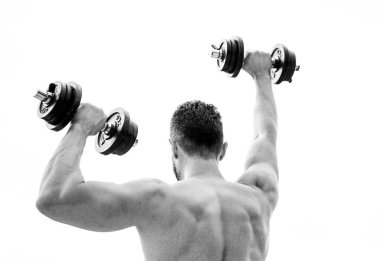 Kaslı sırtlı adam sabah halterle egzersiz yapıyor. Spor ve spor aletleri. Sporcu adam halter kaldırıyor. Steroitler. Atletik vücut. Aptal jimnastik salonu. Sağlıklı bir yaşam tarzı. Her zaman iyi durumda.