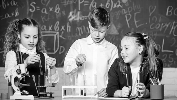 Meninas e meninos estudantes conduzem experimentos escolares com líquidos. Laboratório escolar. Alunos de escola de grupo estudam líquidos químicos. Aula de química da escola. Tubos de ensaio com substâncias. Educação formal — Fotografia de Stock