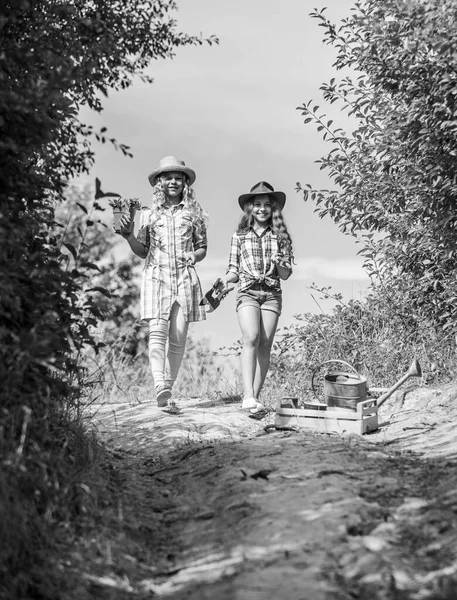 Κορίτσια με εργαλεία κηπουρικής. Αδελφές βοηθούν στη φάρμα. Στο δρόμο για την οικογενειακή φάρμα. Παιδιά αδέλφια διασκεδάζουν στη φάρμα. Οικολογική γεωργία. Σχέδιο γεωργίας. Αξιολάτρευτα κορίτσια με καπέλα που φυτεύουν φυτά — Φωτογραφία Αρχείου