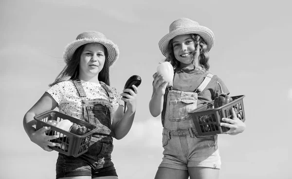 Seulement bio. les enfants à la ferme d'été. De la nourriture biologique. les enfants cultivant. récolte d'automne. petits légumes filles dans le panier. C'est naturel. manger sainement est une vie heureuse. récolter des vitamines. jardin de marché de printemps — Photo