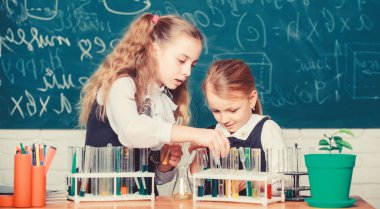 Okul laboratuvar partnerleri. Çocuklar deney yapmakla meşgul. Renkli maddeli test tüpleri. Kimyasal analiz ve gözlem reaksiyonu. Laboratuvar için okul ekipmanları. Okulda kimya dersi alan kızlar.