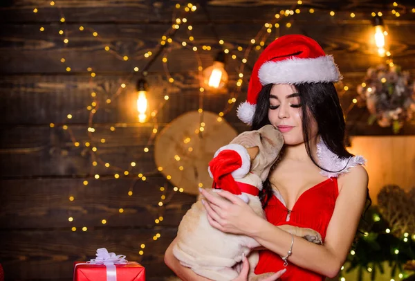 New Year party. girl with cute puppy dog. happy new year. dog year. merry  christmas. perfect xmas present. best gift ever. sexy woman in santa hat.  sensual girl in erotic lingerie Stock