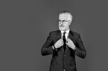 Modayı takip ediyorsun. Berberdeki profesyonel berber. Çevik iş. kopyalama alanı. Gözlüklü kendine güvenen iş adamı. Olgun bir adam sakal ve saç boyadı. Resmi toplantıya hazırlanıyorum. erkek güzelliği ve karizması