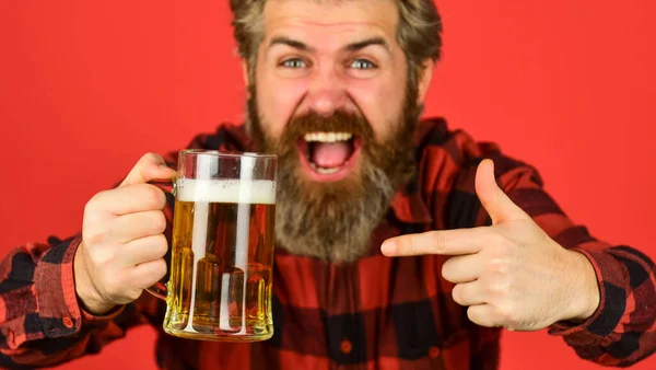 Zrób łyk. Świętuj z alkoholem. Rzemiosło. Dojrzały brodaty mężczyzna trzyma szklankę piwa. Czas wolny i świętowanie. Facet pijący piwo w pubie. Browar piwny. Brutalny hipster pije piwo. Wszystkiego najlepszego — Zdjęcie stockowe