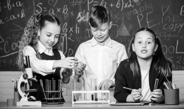 Grup öğrencileri kimyasal sıvılar üzerinde çalışıyor. Okulun kimya dersi. Madde içeren test tüpleri. Resmi eğitim. Kızlar ve erkek öğrenciler sıvılarla okul deneyi yapıyorlar. Okul laboratuvarı