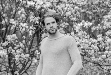 Baharın tadını çıkarıyorum. Sakura arka planı. İyi havanın tadını çıkar. Çiçek açan seksi adam. traşsız erkek manolya ağacı. Bahar modası. Erkek cinselliği. Taze çiçek.