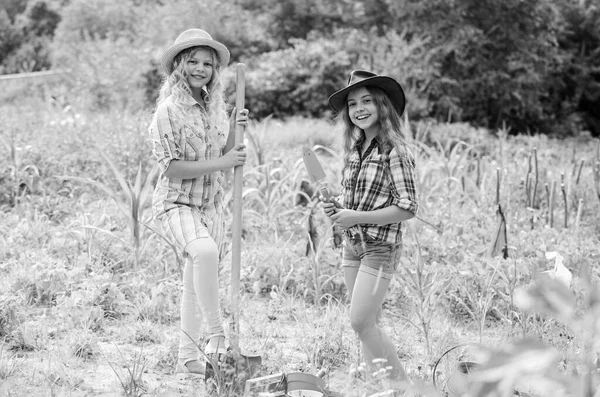 Sevgiyle yapılmış. Küçük kızlar köy bahçesinde çiftçilik yapıyor. Mutlu çiftçilik. bahar kırsal bölgesi. Doğayı koru. Zengin hasat. Toprak günü. Yaz aile çiftliği. Çocuklar alan kullanımı için bahçe araçlarında çalışırlar — Stok fotoğraf