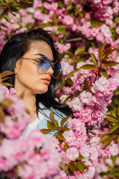 Journée ensoleillée. fille sexy profiter fleur de sakura. femme en fleur de cerisier. Du sakura rose. Joyeux fond de journée des femmes. Conception de printemps. femme profitant d'une journée ensoleillée dans le parc pendant la saison des fleurs de cerisier sur beau printemps — Photo