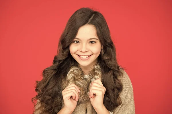 Conceito cabeleireiro. camisola quente para a estação fria. Estilo de moda infantil. conceito de infância feliz. retrato de uma criança bonita. menina bonita cabelo encaracolado longo. pequena beleza sorrindo no fundo vermelho — Fotografia de Stock