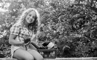 Küçük yardımcı kavramı. Olgun sebzeler. Aile çiftliği. Hasat mevsimi. Kız sevimli çocuk çiftçiliği. Çocuk çiftlikte çalışıyor. Çocuk hasatı taşıyor. Organik yiyecekler al. Çiftlikte güneşli bir gün. Sepetteki sebzeler