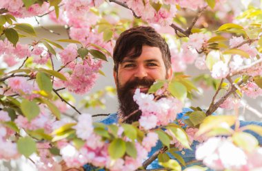 Çiçeklerin arasında saklanıyor. Dışarıdaki yakışıklı sakallı adam. Mutlu Paskalyalar. Kiraz çiçeğindeki vahşi hippi. Sakura çiçekli adam. Pembe narin çiçek. Bahçe konseptinde hafta sonu. Etrafı çiçeklerle çevrili.