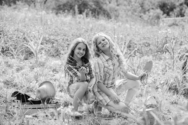 Летняя деятельность. Сёстры милые дети, помогающие на ферме. Девочки сажают растения. Посадка и полив. Веселые дети, работающие в саду. Концепция сельского хозяйства Выращиваю овощи. Посадка овощей — стоковое фото