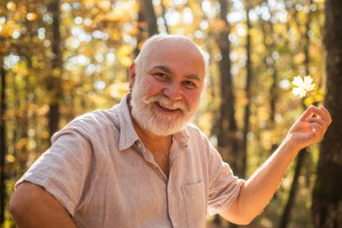 Neşeli olmaya devam et. Emekliler güneşli bir sonbahar gününde ormanda yürüyüş yapıyor. Basit şeylerde güzellik görmek. Yaşlı sakallı adam yaprak topluyor. Mutlu adam sonbahar doğasının tadını çıkarır. Sakallı dede ormanda dinleniyor.