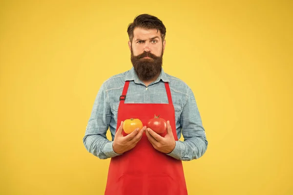 Lets cook ketchup. bearded man chef with tomato. healthy food cooking. organic food diet. health benefits of tomato. dietary source of vitamins. brutal cook in apron. vegetable eating tips — 스톡 사진