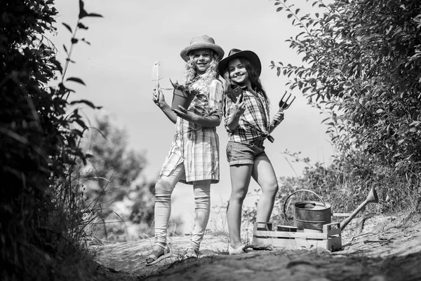 에코 (Eco) 농업 개념. 가족 농장으로 가는 길이야. 농업 개념. 모자를 쓰고 식물을 심는 사랑 스러운 소녀. 아이들은 농장에서 재미를 본다. 정원 도구를 가진 소녀들. 농장에서 일하는 자매들 — 스톡 사진
