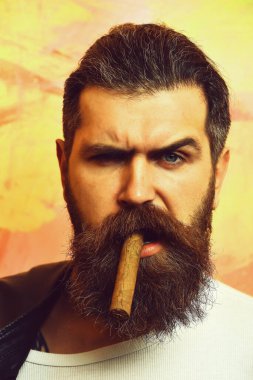 Sakallı vahşi Kafkas hippisi puro içiyor.