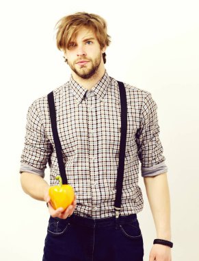 Toplayıcıyı taze sebzeyle hasat et, beyazın üzerine izole et. Sağlıklı yaşam tarzı