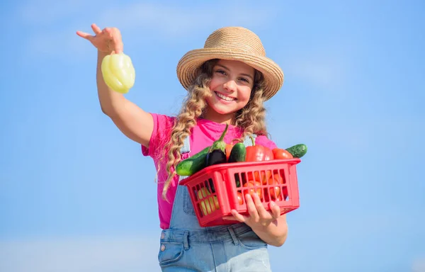 Heerlijk eten. gelukkige kleine boer. Herfst oogst. kleine meid groente in mand. Heel natuurlijk. gezond voedsel voor kinderen. kind op zomerboerderij. Biologisch voedsel. vitamine oogsten. voorjaarstuin — Stockfoto