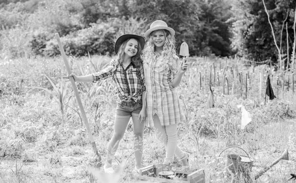 Cultiver des légumes. Espérons une belle récolte. Des filles plantent des plantes. Enfants rustiques travaillant dans le jardin. Plantation et arrosage. Concept d'agriculture. Des sœurs qui aident ensemble à la ferme. Plantation de légumes — Photo