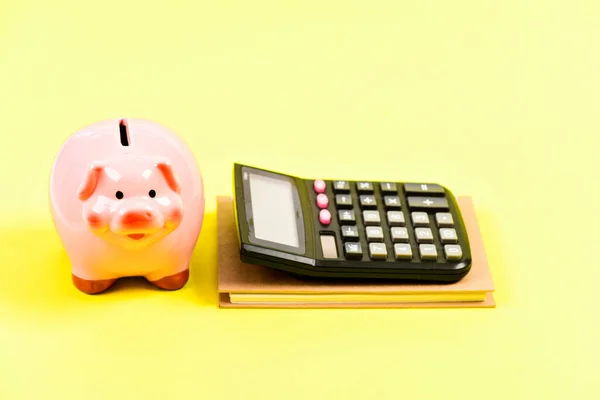 Piggy bank money savings. Building managing and preserving your wealth. Credit union concept. Financial help services. Financial support consulting. Courses financial literacy. Financial report
