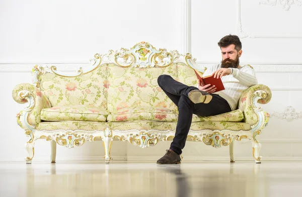 Előadó ül a kanapén, és olvasás könyv, fehér fal háttér. A szakállas és bajszos férfi könyvvel tölti a szabadidejét. Elit szabadidő koncepció. Tudós, elfoglalt arcú professzor élvezze az irodalmat. — Stock Fotó