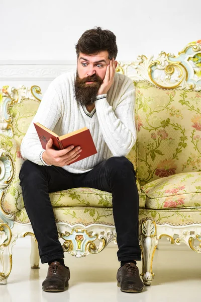 Macho en el libro de lectura de la cara disgustada. Escandaloso concepto de best seller. Hombre con barba y bigote se sienta en el sofá de estilo barroco, sostiene libro, fondo blanco de la pared. Guy leyendo libro con atención . —  Fotos de Stock