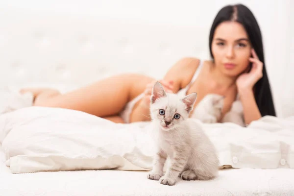 Sexy model grać uroczy kotek selektywne skupienie. Pobaw się z Kitty. Kot i kobieta. Zabawny zwierzak. Kobieta idealne ciało i kot. Wspaniała atrakcyjna dziewczyna zrelaksować się z cute kotki. Zabawa z kotem w łóżku — Zdjęcie stockowe