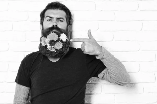 Hipster con flores en barba sobre fondo de pared de ladrillo blanco — Foto de Stock