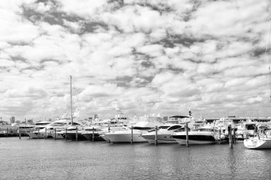 Miami marinasında yatlar, güney sahilinde bulutlu bir gökyüzü.