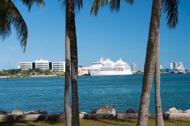 Miami, ABD - 29 Şubat 2016: Derin mavi su ve gökyüzü üzerinde palmiyeler ile yedi deniz seyir subayı. Macera ve keşif. Seyahat ve seyahat. Seyahat ve seyahat. Seyahat tutkusu. Yaz tatili