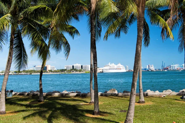 Miami, USA - 2016. február 29.: tengerre néző pálmafákon keresztül. Tengerjáró út. Hajókirándulás a kikötőben. Nyaralás a trópusi tengerparton. Utazás és utazás. Vándorlási vágy. Nyári szünet — Stock Fotó